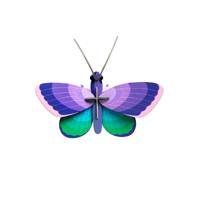 u[ERbp[Eo^tC